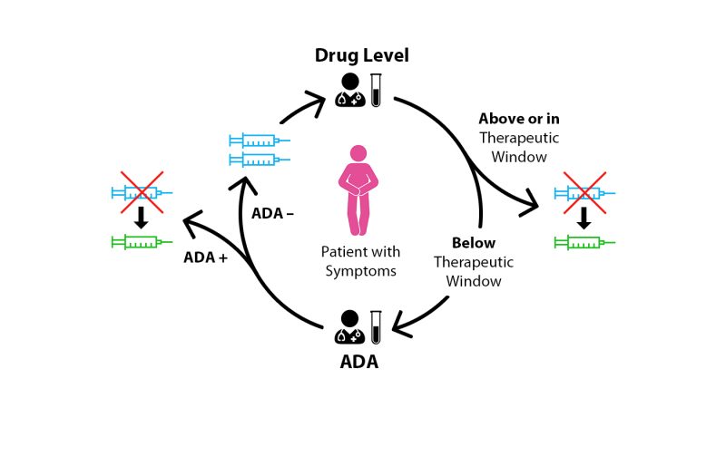 Adapted from Mitrev et al. 2017